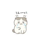 まんまるスコちゃん3（個別スタンプ：13）