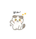 まんまるスコちゃん3（個別スタンプ：15）