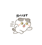 まんまるスコちゃん3（個別スタンプ：20）