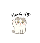 まんまるスコちゃん3（個別スタンプ：21）
