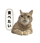 いなふくスタンプ3（個別スタンプ：2）