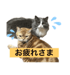 いなふくスタンプ3（個別スタンプ：4）