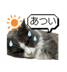 いなふくスタンプ3（個別スタンプ：5）
