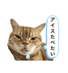 いなふくスタンプ3（個別スタンプ：8）