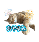 いなふくスタンプ3（個別スタンプ：9）