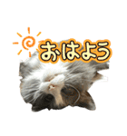 いなふくスタンプ3（個別スタンプ：14）