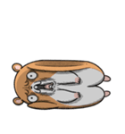 キョムスター＆ヤムスター（写真に貼れる）（個別スタンプ：3）