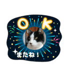 MoMoTa again（個別スタンプ：6）