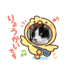 MoMoTa again（個別スタンプ：7）
