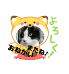 MoMoTa again（個別スタンプ：10）