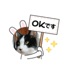 MoMoTa again（個別スタンプ：12）