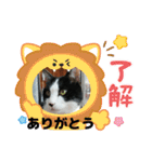 MoMoTa again（個別スタンプ：13）