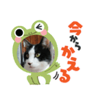MoMoTa again（個別スタンプ：14）