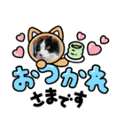 MoMoTa again（個別スタンプ：17）