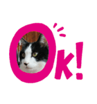 MoMoTa again（個別スタンプ：18）
