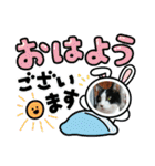 MoMoTa again（個別スタンプ：20）