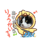 MoMoTa again（個別スタンプ：21）
