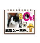 MoMoTa again（個別スタンプ：22）