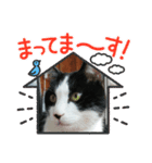 MoMoTa again（個別スタンプ：23）