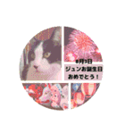 MoMoTa again（個別スタンプ：24）