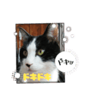 MoMoTa again（個別スタンプ：26）