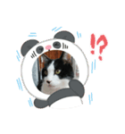 MoMoTa again（個別スタンプ：30）