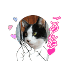 MoMoTa again（個別スタンプ：31）