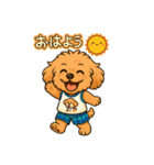 ずっと使える♡トイプー翔太のスタンプ（個別スタンプ：1）