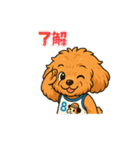 ずっと使える♡トイプー翔太のスタンプ（個別スタンプ：2）