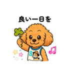 ずっと使える♡トイプー翔太のスタンプ（個別スタンプ：14）