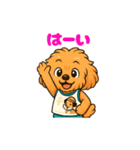 ずっと使える♡トイプー翔太のスタンプ（個別スタンプ：21）
