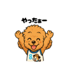 ずっと使える♡トイプー翔太のスタンプ（個別スタンプ：22）