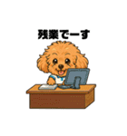 ずっと使える♡トイプー翔太のスタンプ（個別スタンプ：24）