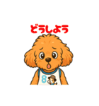 ずっと使える♡トイプー翔太のスタンプ（個別スタンプ：30）