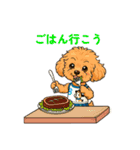 ずっと使える♡トイプー翔太のスタンプ（個別スタンプ：35）