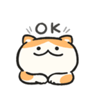 色んな柄のぽってり猫 日常会話（個別スタンプ：2）