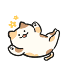 色んな柄のぽってり猫 日常会話（個別スタンプ：5）