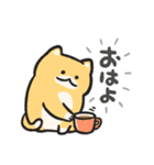 色んな柄のぽってり猫 日常会話（個別スタンプ：6）
