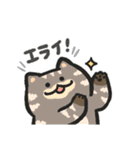 色んな柄のぽってり猫 日常会話（個別スタンプ：11）