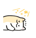 色んな柄のぽってり猫 日常会話（個別スタンプ：13）