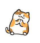 色んな柄のぽってり猫 日常会話（個別スタンプ：16）