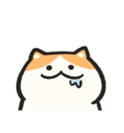 色んな柄のぽってり猫 日常会話（個別スタンプ：18）