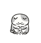 色んな柄のぽってり猫 日常会話（個別スタンプ：19）