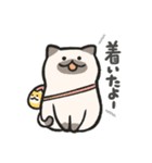 色んな柄のぽってり猫 日常会話（個別スタンプ：22）