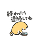 色んな柄のぽってり猫 日常会話（個別スタンプ：23）