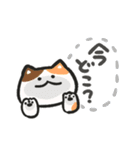 色んな柄のぽってり猫 日常会話（個別スタンプ：33）