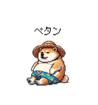 夏を満喫 太っちょ柴犬（個別スタンプ：1）