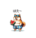 夏を満喫 太っちょ柴犬（個別スタンプ：6）