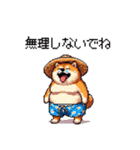 夏を満喫 太っちょ柴犬（個別スタンプ：7）