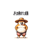 夏を満喫 太っちょ柴犬（個別スタンプ：8）